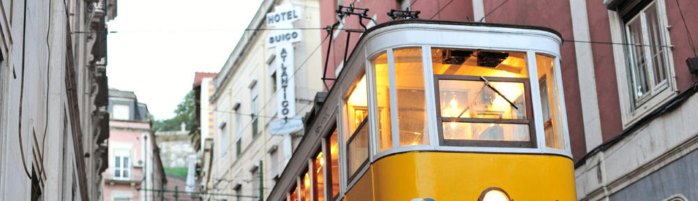 サイキックガーデン